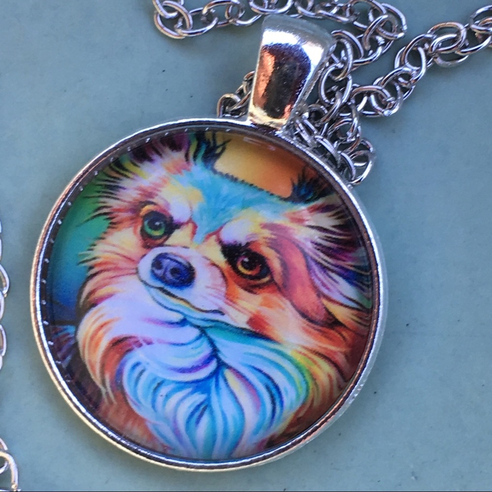 Colorful Pomeranian 🐕 dog
